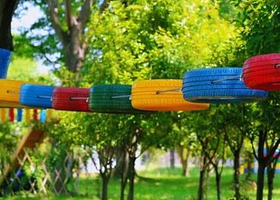 Woll森林自然营地