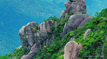 三清山-猴王观宝