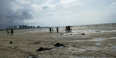 金海湾赶海基地