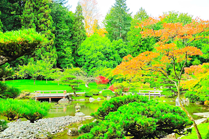 华盛顿公园植物园