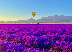 伊犁天山花海景区