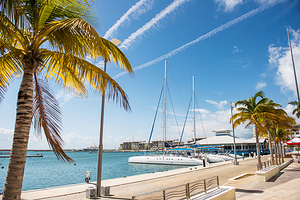 汉密尔顿岛码头