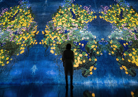 teamLab无相艺术空间