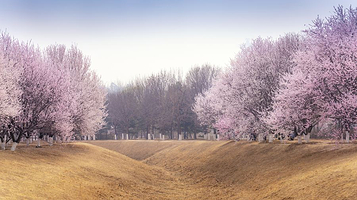 奥林匹克森林公园-北园