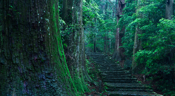 熊野古道