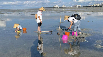 红树林天天赶海集散点