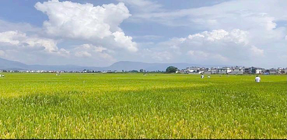 喜洲马帮世家骑马