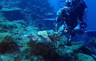 双月湾战浪潜水俱乐部