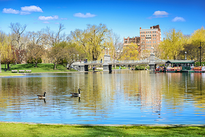 波士顿公共花园