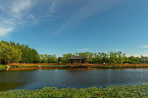 绿山川阳光农场&营地Farm&Glamping