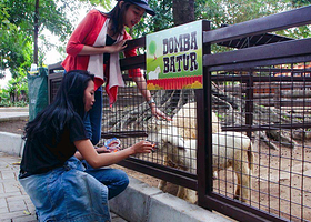 洛卡开心动物园