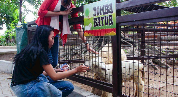 洛卡开心动物园