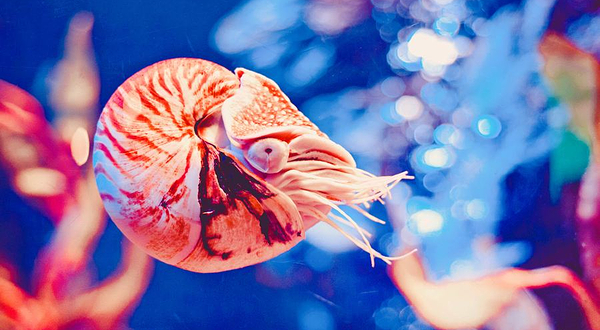 曼谷水族馆