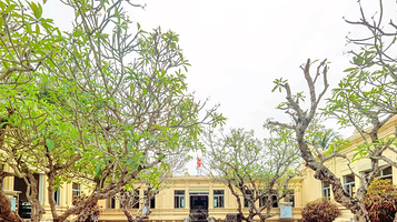 占婆雕刻博物馆