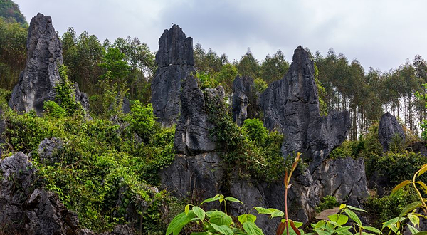 泥凼石林风景区