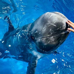 南宁极地海洋世界