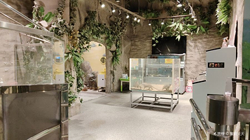 WOWOZOO窝窝萌宠乐园 (宝安大仟里购物中心店)