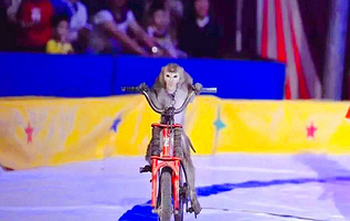 沈阳恒大文化旅游城