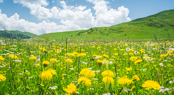 红原—若尔盖大草原