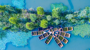 漕泾郊野公园水窠景区