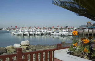 中心渔港出海俱乐部