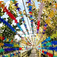 昌黎国际滑沙中心