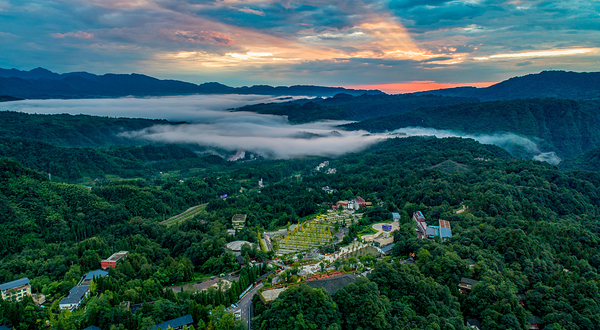 碧峰峡野生动物世界