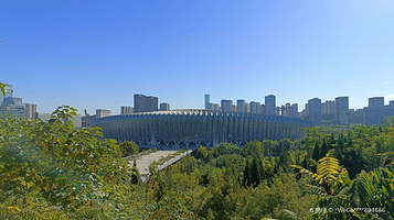 济南奥林匹克体育中心体育场