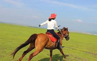 通湖路八公里骑马场户外营地