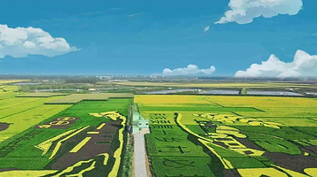 蒲河欢乐谷蒲河稻乡稻田画景区