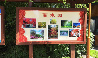 百木园