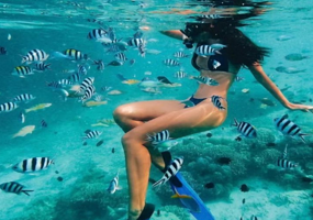 日月湾·雨林溯溪·椰林桨板·运动基地