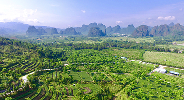 英西峰林·T三有机茶园