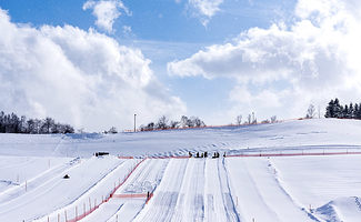 泷野铃兰丘陵公园