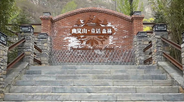 幽岚山·童话森林