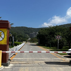 龙王塘樱花园