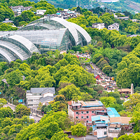 重庆南山植物园