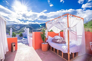 粉红帝国悠悠马场