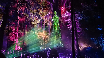 兰卡威梦幻森林