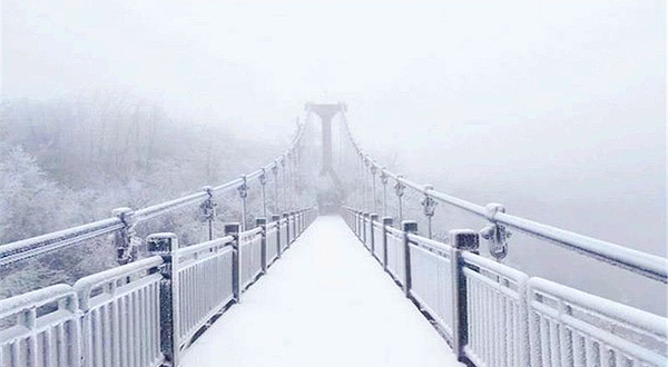 天门山国家森林公园-悬索桥