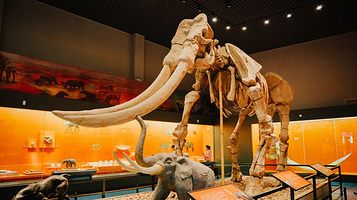 安徽省博物馆老馆