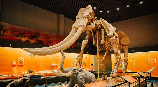 安徽省博物馆老馆