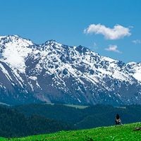 南山牧场