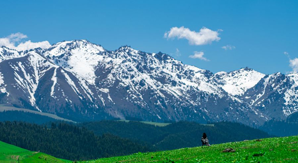 南山牧场