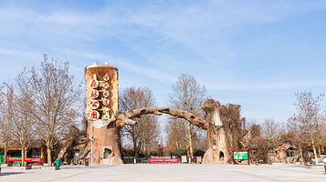 黄河故道森林公园