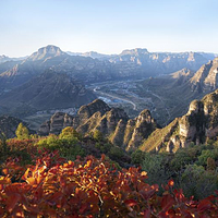 杨岐山