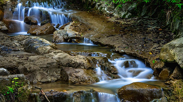九龙山乡村旅游景区