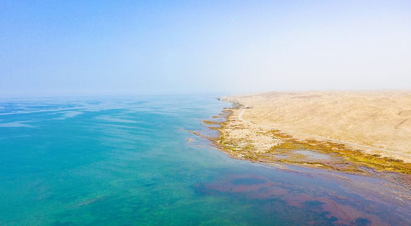 博斯腾湖-白鹭洲