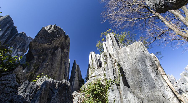 玉石林风景区