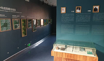 中华虎凤蝶自然博物馆